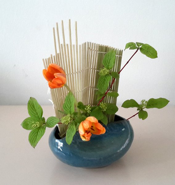 Hana Blanke